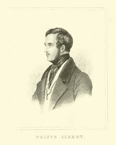 Redingot by English School