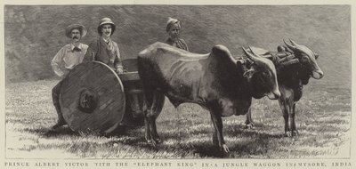 Prens Albert Victor, Hindistan