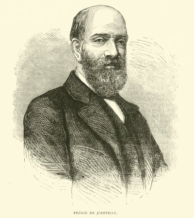 Prince de Joinville, Şubat 1871 by English School