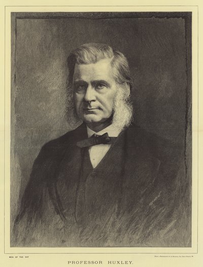 Profesör Huxley (gravür) by English School