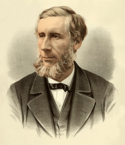 Profesör John Tyndall by English School
