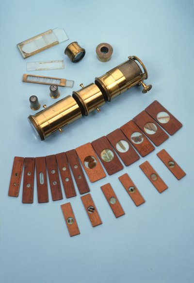 Watkins & Hill, Londra tarafından perakende olarak satılan, sihirli bir fenerle birlikte kullanım için tasarlanmış projeksiyon mikroskobu, 18 doğal tarih slaydı, c.1870 (pirinç, cam ve ahşap) by English School