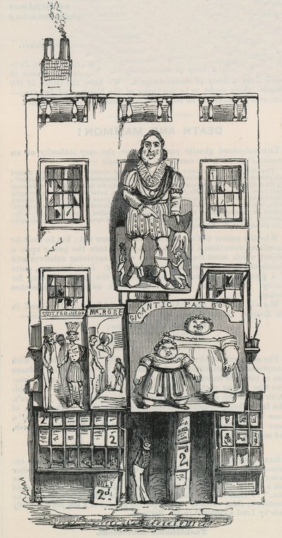 Harikalar Gezinti Yeri, Drury Lane, Londra by English School