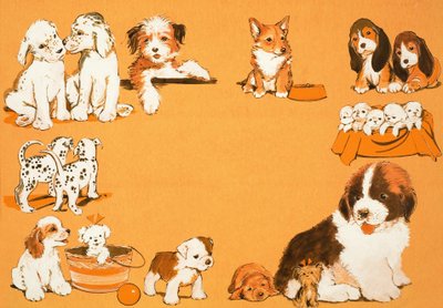 köpek yavrusu by English School