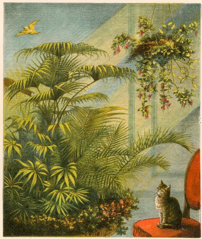 Kedi ve Dicky, Kedi ve Kanarya by English School