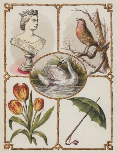 Kraliçe, Robin, Kuğu, Lale, Şemsiye (renkli taş) by English School