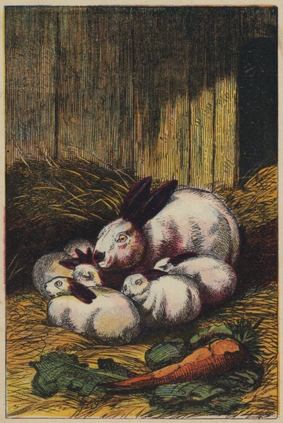 Tavşanlar (renkli lito) by English School