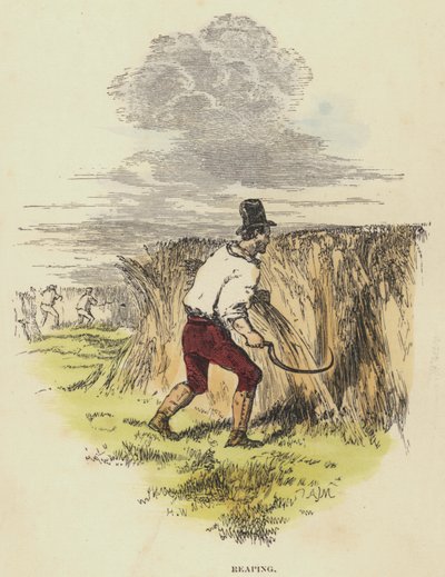 Hasat (renkli gravür) by English School