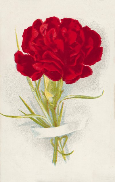 Kırmızı karanfil (chromolitho) by English School