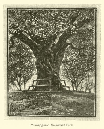 Dinlenme yeri, Richmond Parkı by English School