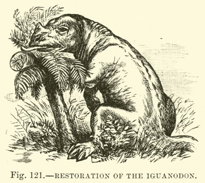 Iguanodon