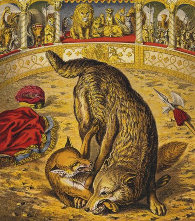 Reynard Tilki by English School