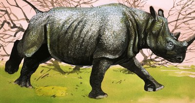 Gergedan by English School