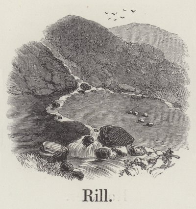 Rill (gravür) by English School