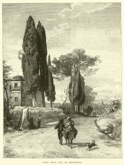Cavi