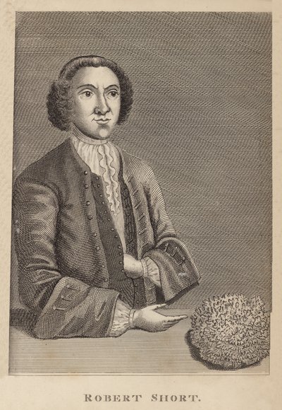Robert Kısa by English School