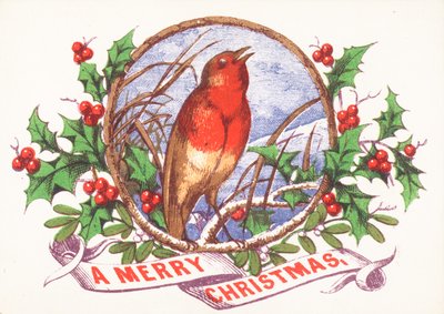 Robin dalda şarkı söylüyor, Noel Kartı by English School