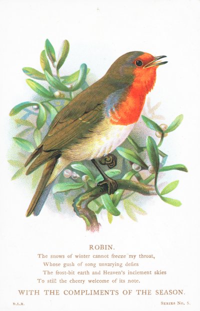 Robin dalda şarkı söylüyor, Noel Kartı by English School