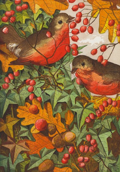 Robins (renkli lito) by English School
