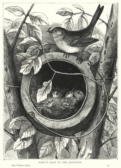 Yapıştırıcıdaki Robin