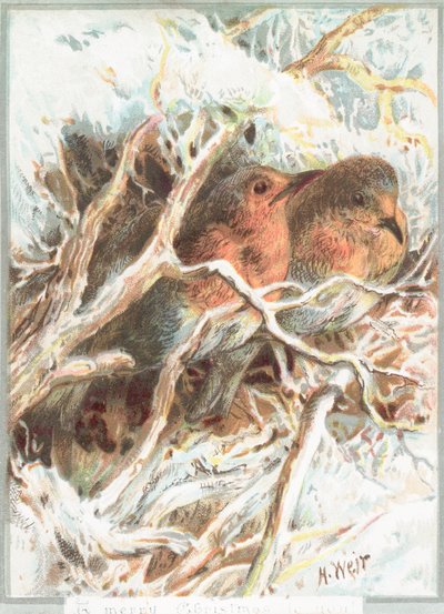 Dalda oturan Robins, Noel kartı by English School