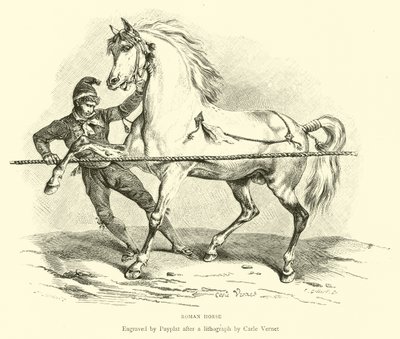 Roma Atı by English School