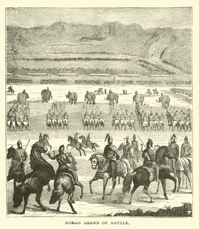 Roma Savaş Düzeni by English School