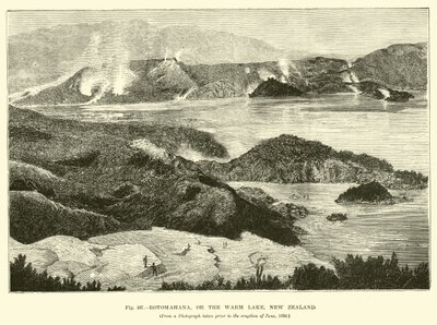 Rotomahana veya Sıcak Göl, Yeni Zelanda by English School