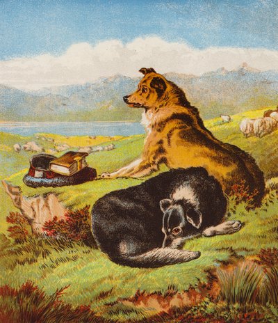 Rover ve Hector (renkli lito) by English School