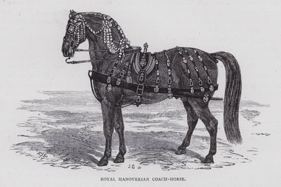 Kraliyet Hanoverian Koç-Atı (gravür) by English School