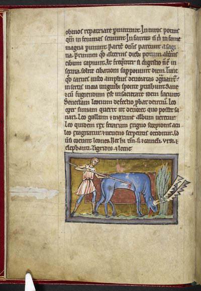 Royal MS 12 C XIX, f.7v Antilop, 
