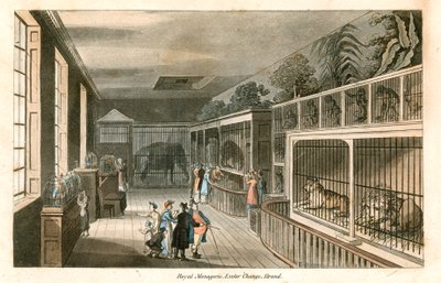 Royal Menagerie, Exeter Change, Strand (renkli gravür) by English School