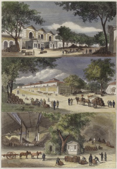 Languedoc ve Cote DOr Sokakları by English School