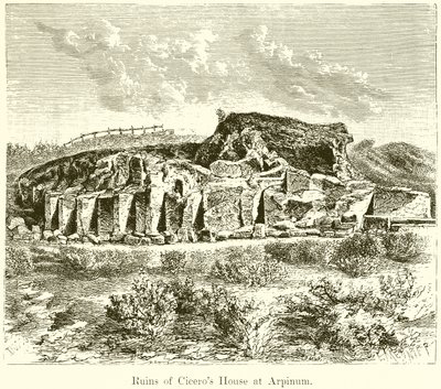 Arpinum