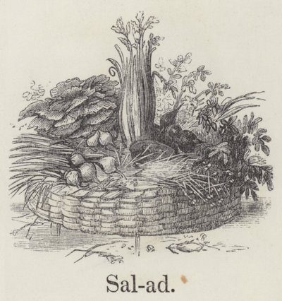 Salata (gravür) by English School