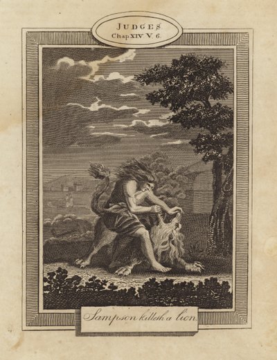Samson bir aslanı öldürür by English School
