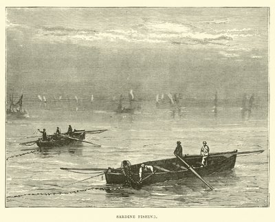 Sardalya balıkçılığı by English School