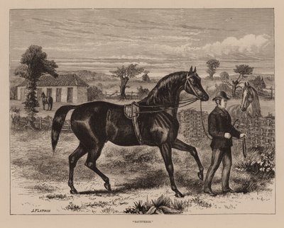 "Saunterer" (gravür) by English School