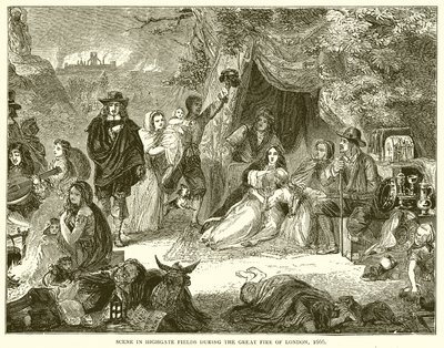 Highgate Fields