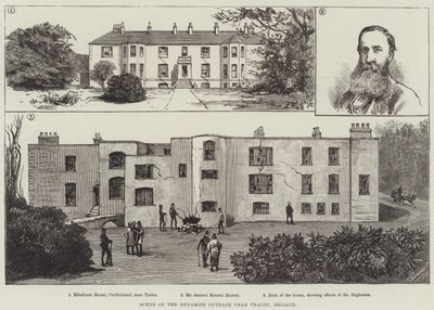 Tralee, İrlanda yakınlarındaki Dinamit Öfkesi sahnesi (gravür) by English School