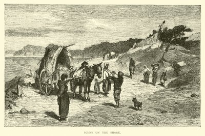 Kıyıdaki sahne by English School