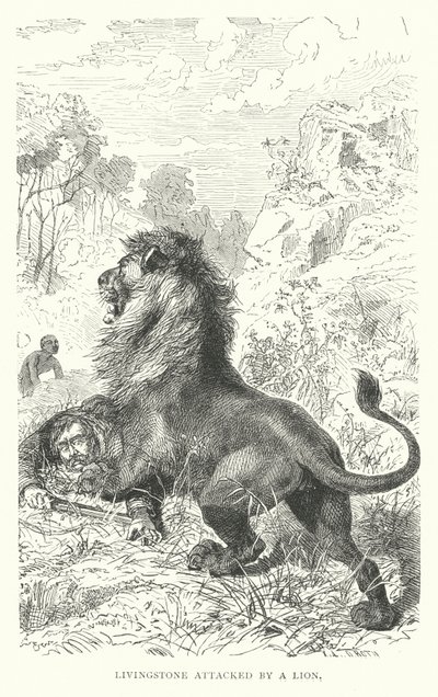 İskoç misyoner David Livingstone, Afrika