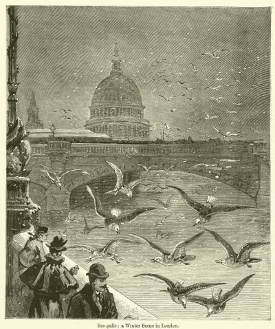 Sea-gulls, a Winter Scene in London (gravür) by English School