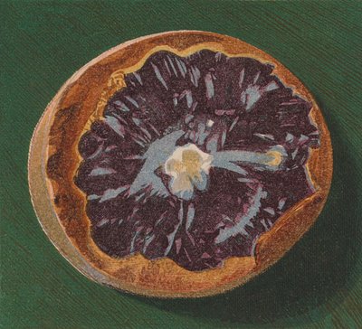 Deniz kenarı çakıl taşı (renkli lito) by English School