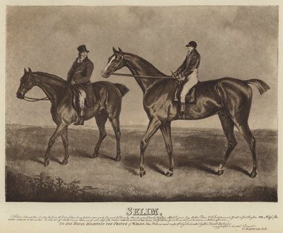 Selim (lito) by English School