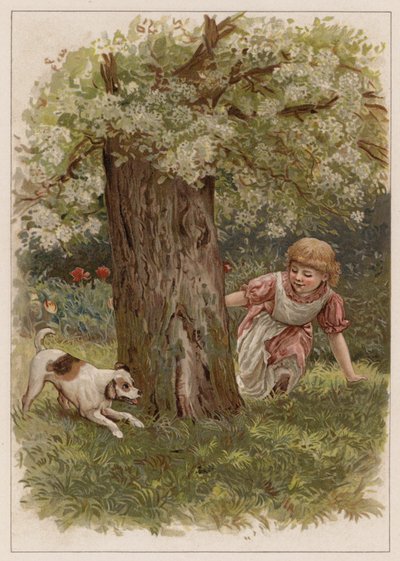 Shappy (chromolitho) by English School