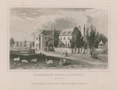 Kopenhag Evi