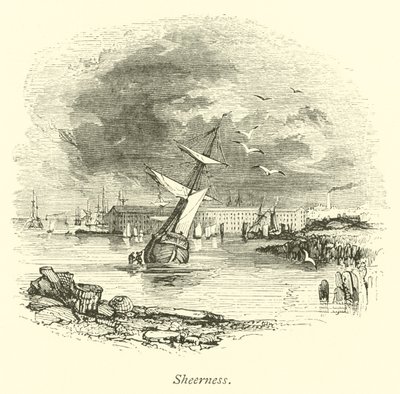 şeffaflık by English School