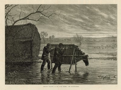 Yukarı Thames Nehri