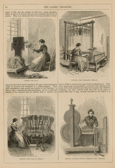 İpek Üretimi by English School